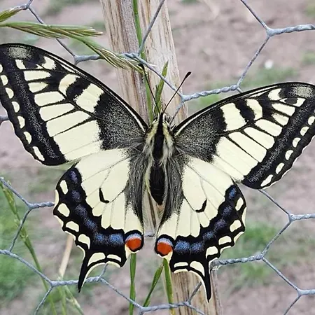 Charming Mansion With Bikes