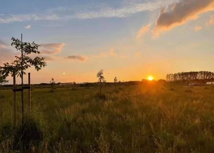 Hébergement de vacances Charming Mansion With Bikes