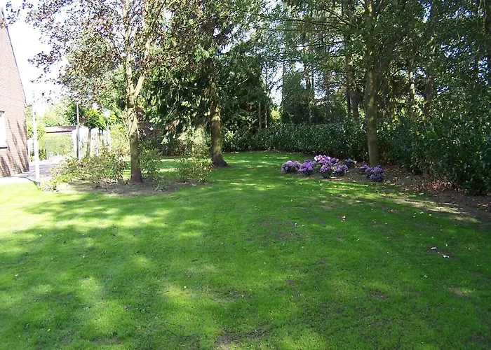 Charming Mansion With Bikes